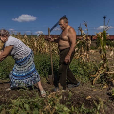 Rostuschtsche: Switlana (61) und Wassyl (70) ernten in Rostuschtsche bei Saporischschja am Rande einer Eisenbahnstrecke ihre Möhren.