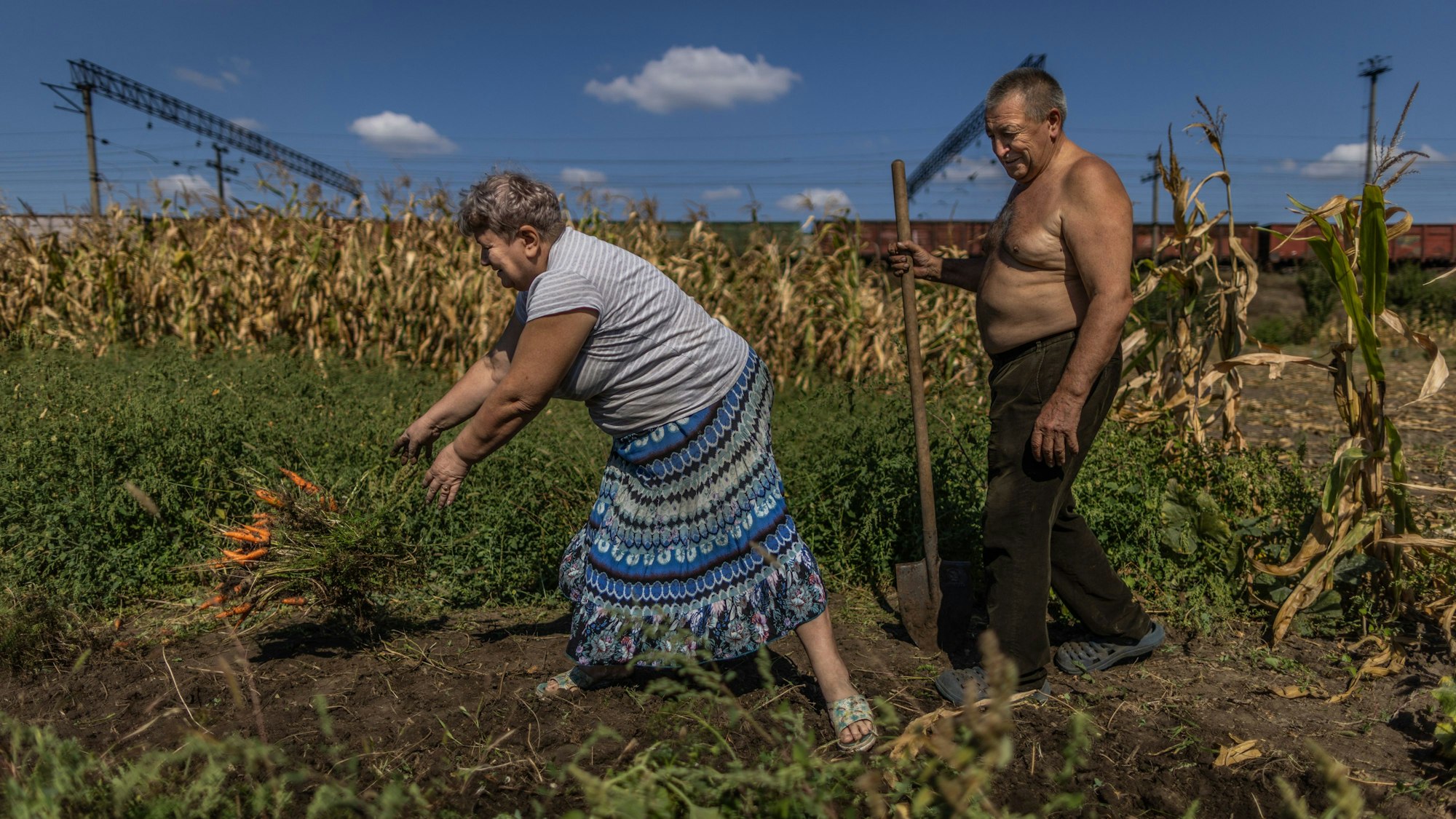 Rostuschtsche: Switlana (61) und Wassyl (70) ernten in Rostuschtsche bei Saporischschja am Rande einer Eisenbahnstrecke ihre Möhren.