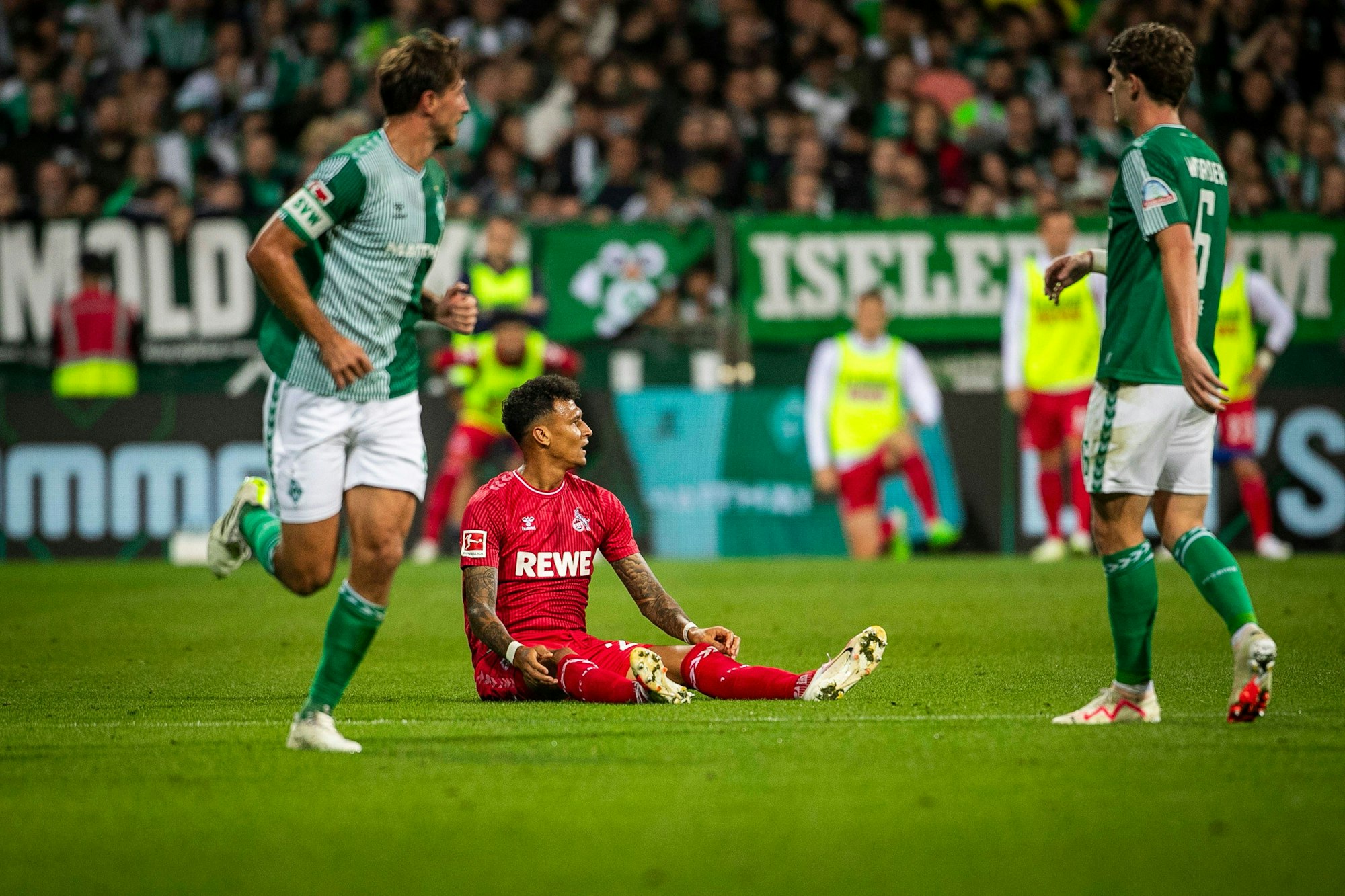 GER, 1.FBL, SV Werder Bremen vs 1. FC Köln / 23.09.2023, wohninvest WESERSTADION, GER, 1.FBL, SV Werder Bremen vs 1. FC Köln im Bild Davie Selke 1. FC Köln 27 bleibt auf dem Boden sitzen,