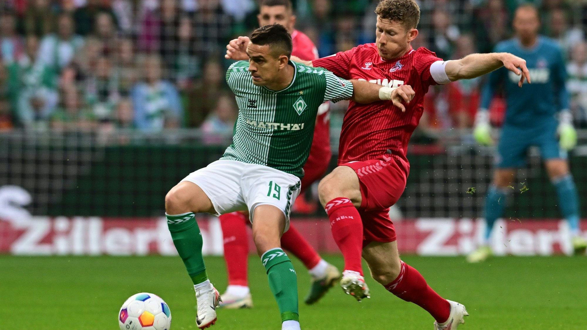 23.09.2023, Bremen: Fußball: Bundesliga, Werder Bremen - 1. FC Köln, 5. Spieltag im wohninvest Weserstadion, Bremens Rafael Borré (l) und Kölns Florian Kainz kämpfen um den Ball. W Foto: Sina Schuldt/dpa +++ dpa-Bildfunk +++
