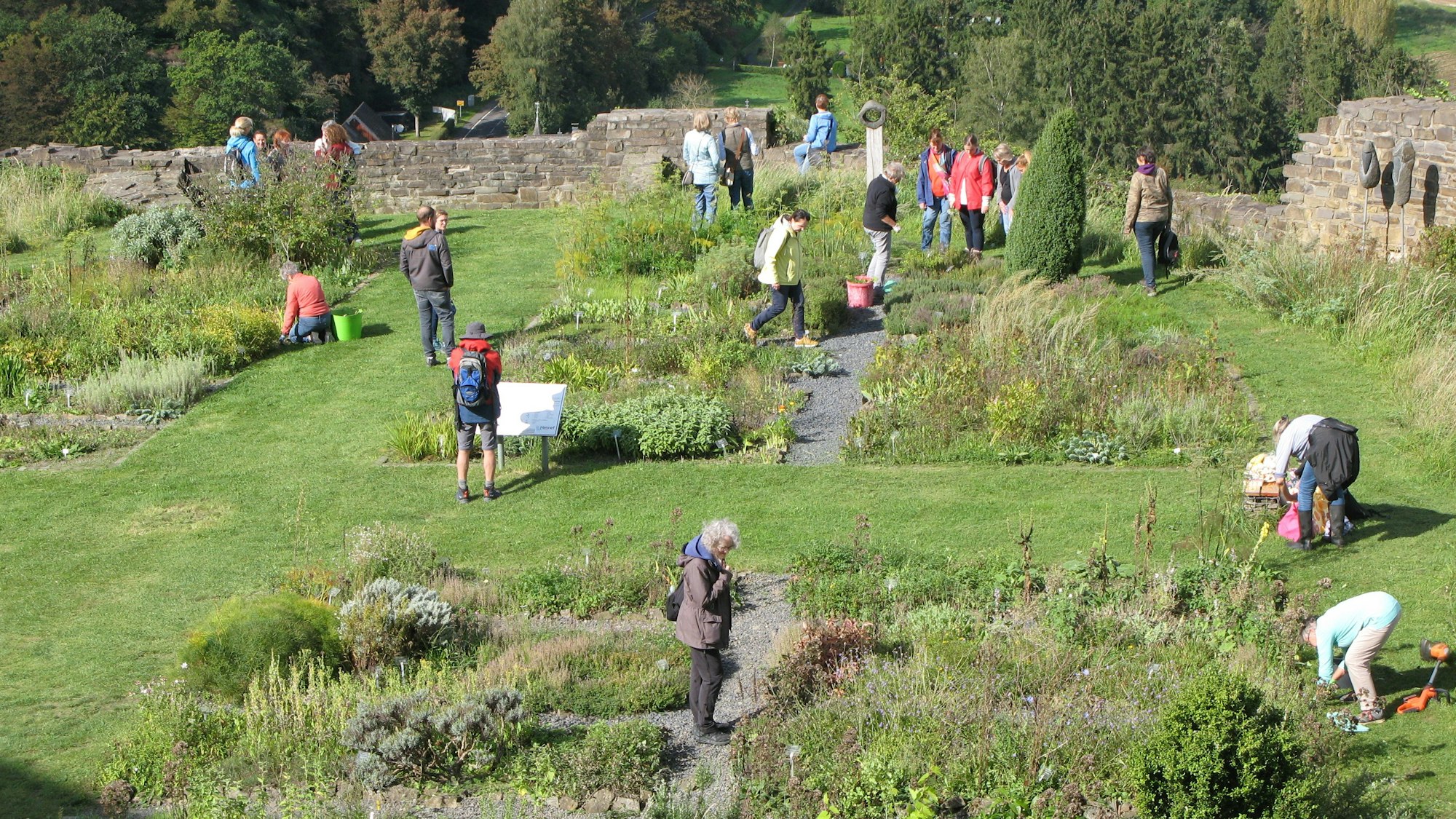 Mehrere Personen knien und stehen in dem durch eine Bruchsteinmauer eingefriedeten Burggarten und arbeiten an den Beeten.