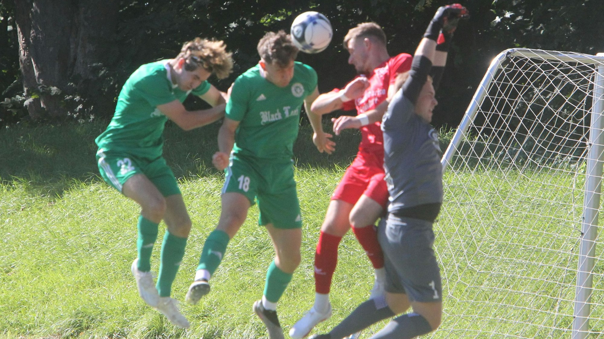 Leo Grande (von links), Florian Burger, Gian Luca Sanzone und Marcel Löwen