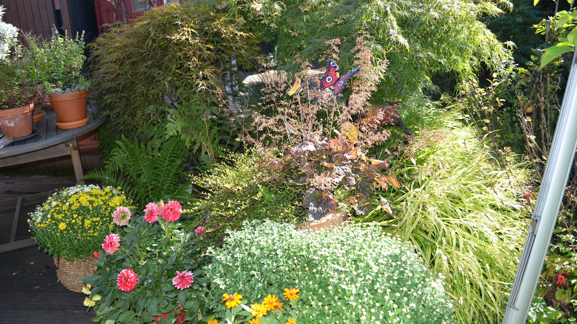 Üppig blühende Büsche stehen zusammen, kleine Schmetterlinge sind hineingesteckt.