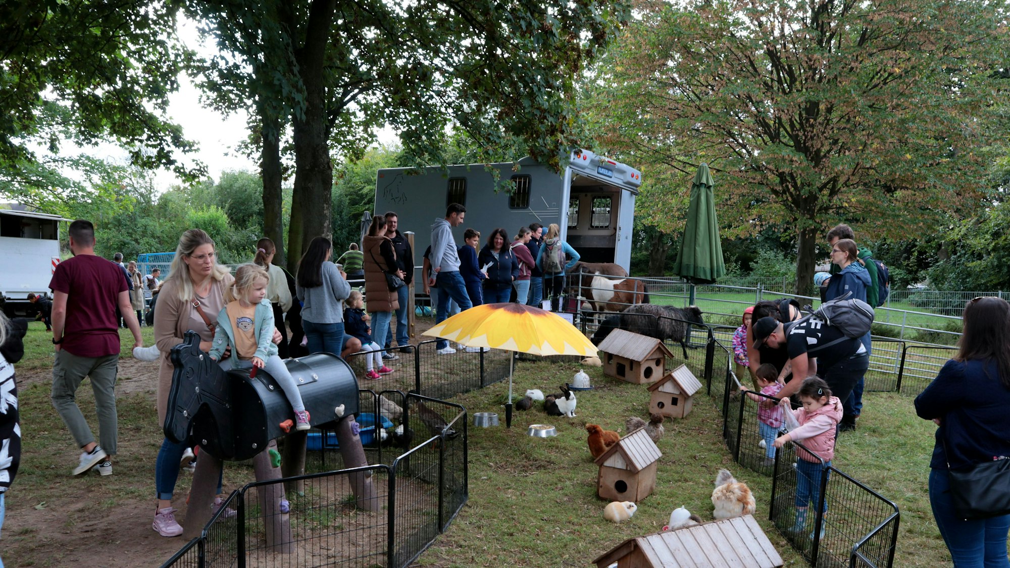 Neben einem kleinen, langgezogenen Gehege, in dem viele, kleine Häuschen stehen, laufen Meerschweinchen und Häschen. Familien mit kleinen Kindern laufen über die Grünfläche.