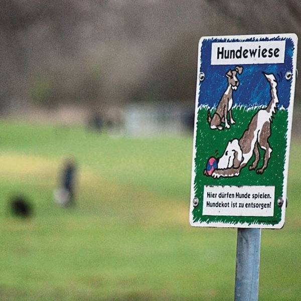 Schild auf einer Hundewiese mit Karikatur