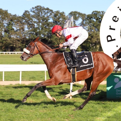 India mit Rene Piechulek gewinnt den 61. Preis von Europa.