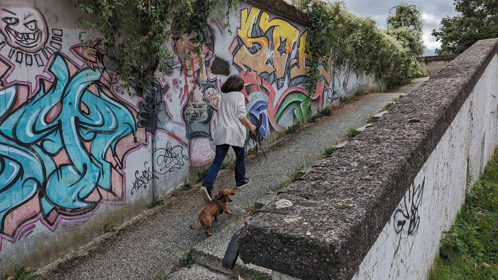 Eine Frau mit Hund steigt eine Rampe neben einer Treppe hinauf, im Hintergrund eine Betonwand mit Graffiti.