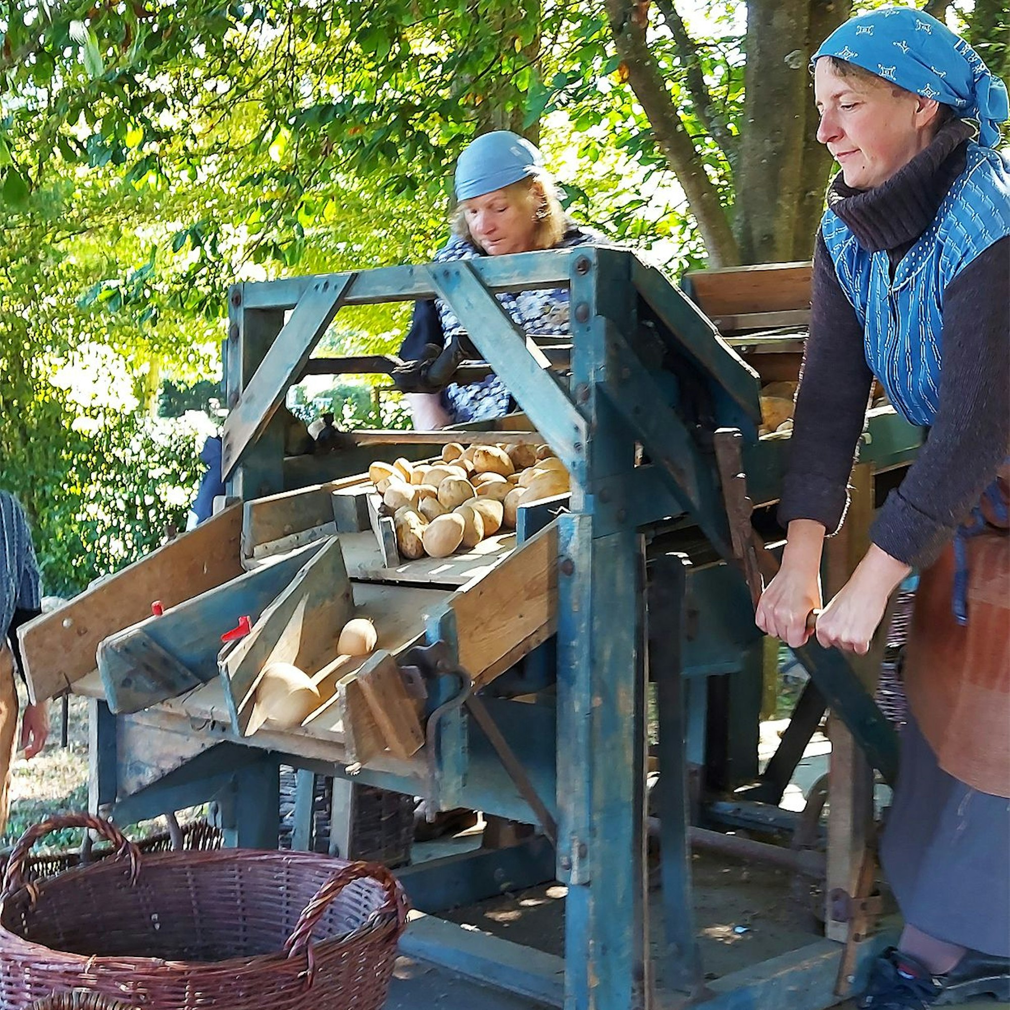 Das Bild zeigt zwei Frauen am Kartoffelsortierer