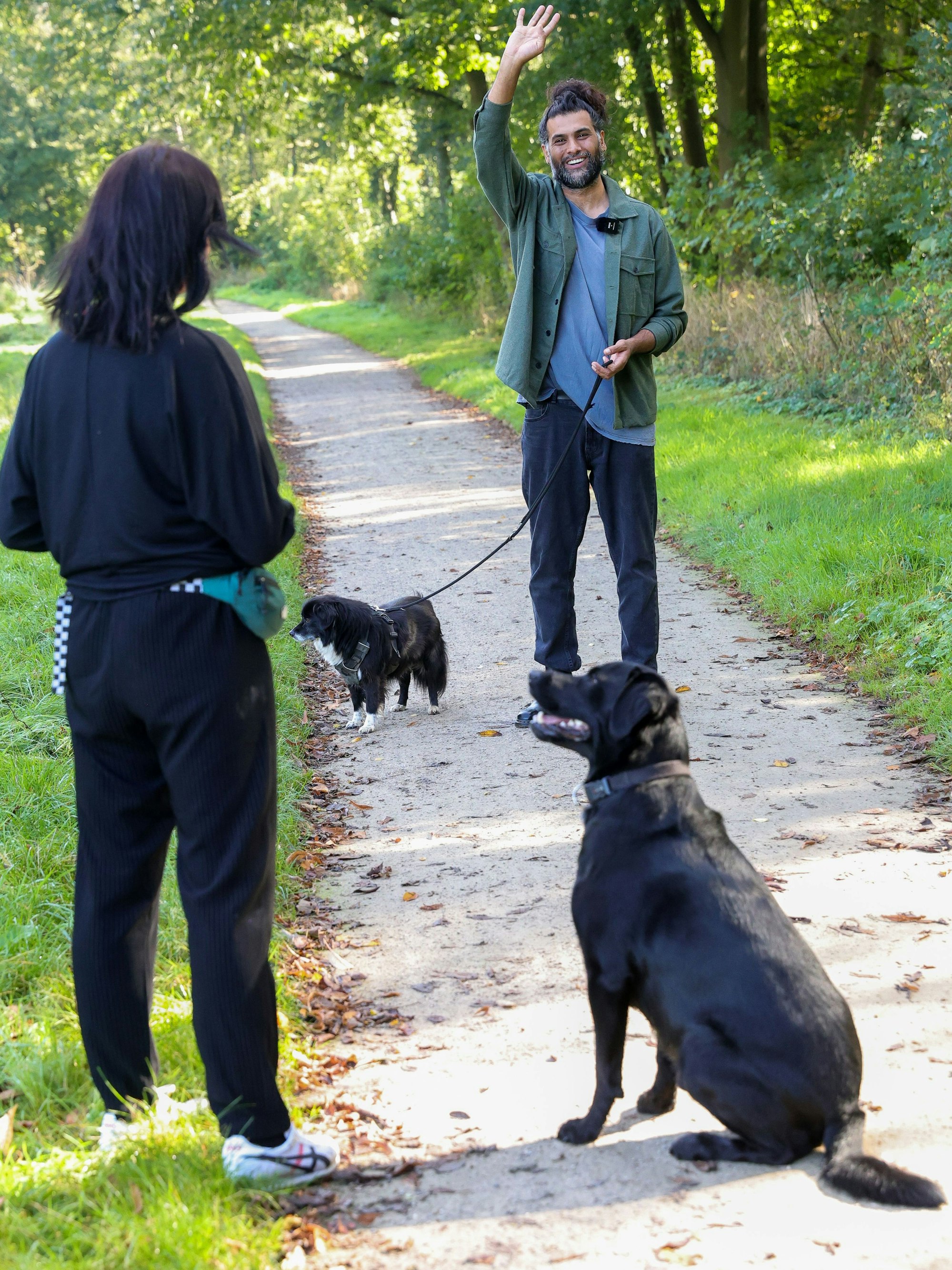 Eine typische Begegnung beim Spaziergang: Ein Hund ist angeleint, der andere nicht.