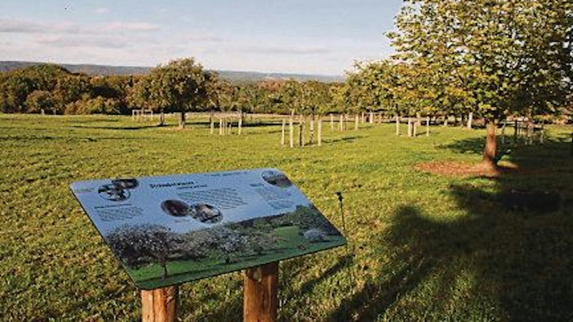 Eine Tafel mit Bildern und Texten steht an einer grünen Wiese, auf der Obstbäume stehen.