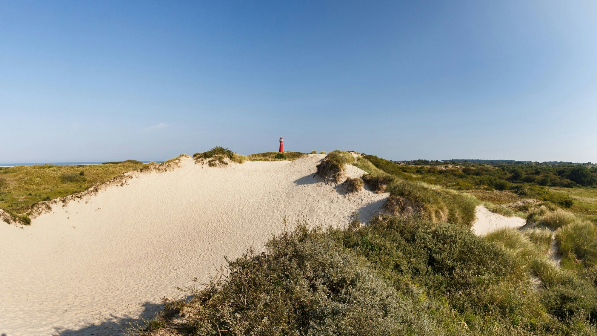 Dünenlandschaft von Schiermonnikoog