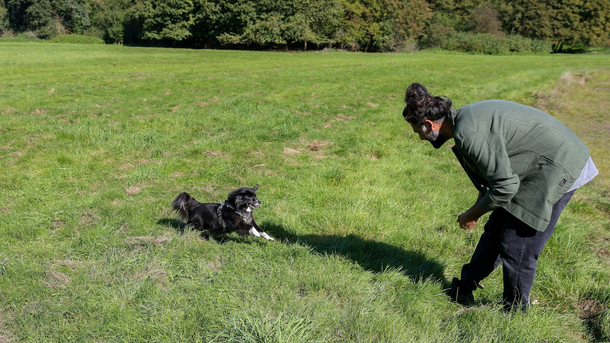 Hunde-Verhaltenstherapeut Masih Samin ruft seine Hündin Thea zu sich.
