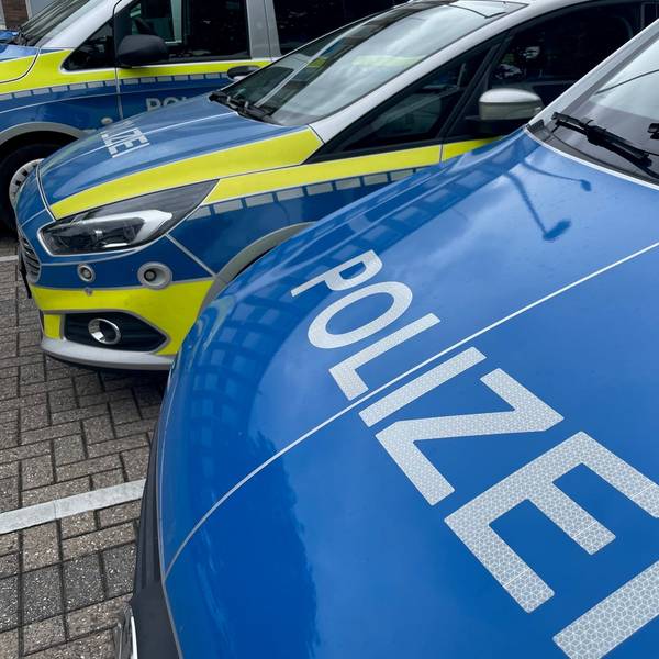 Mehrere Streifenwagen der Polizei stehen auf einem Parkplatz.