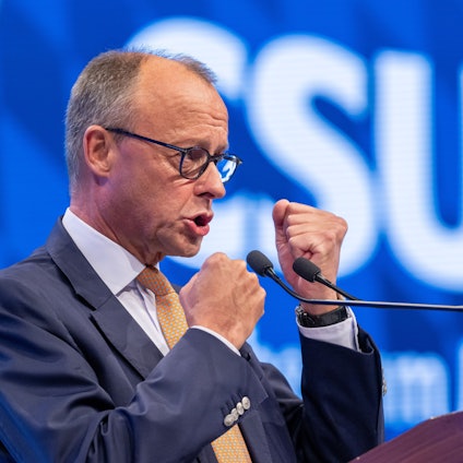 Friedrich Merz, CDU-Vorsitzender