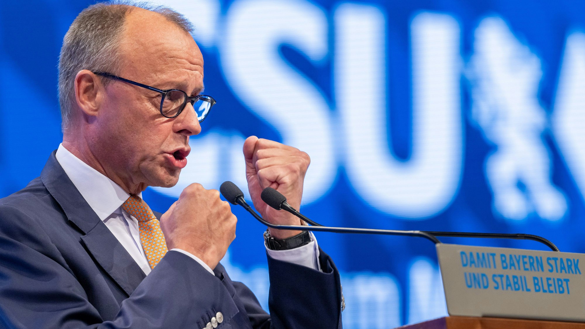 Friedrich Merz, CDU-Vorsitzender