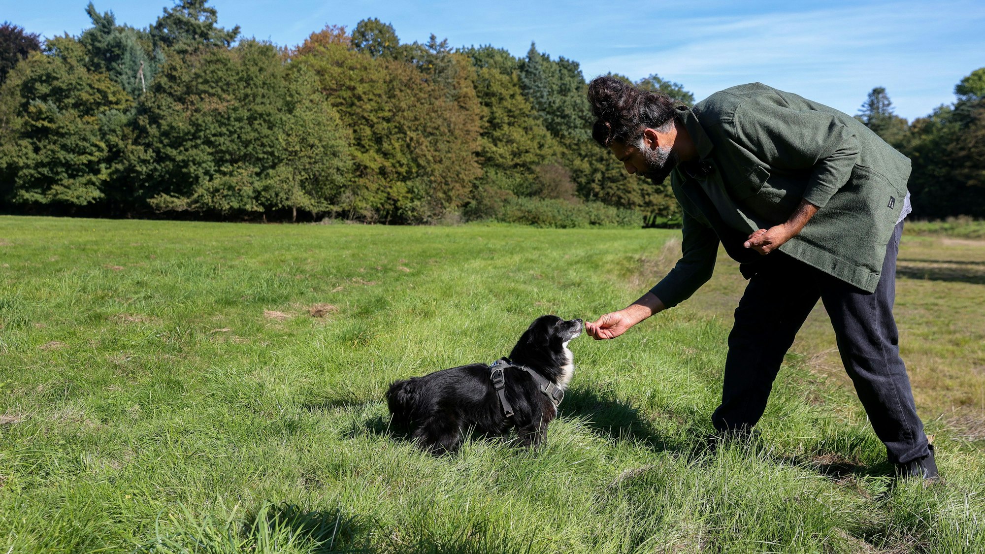 Hündin Thea bekommt von Masih Samin ein Leckerli auf einer Wiese.