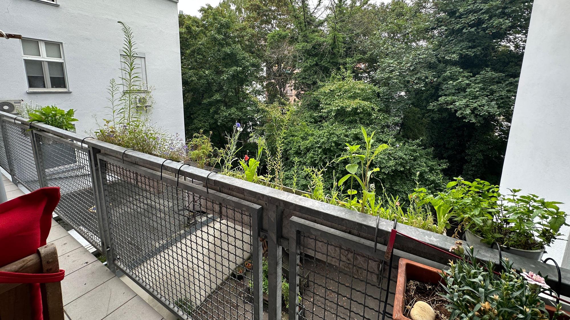 Blick in den grünen Innenhof.