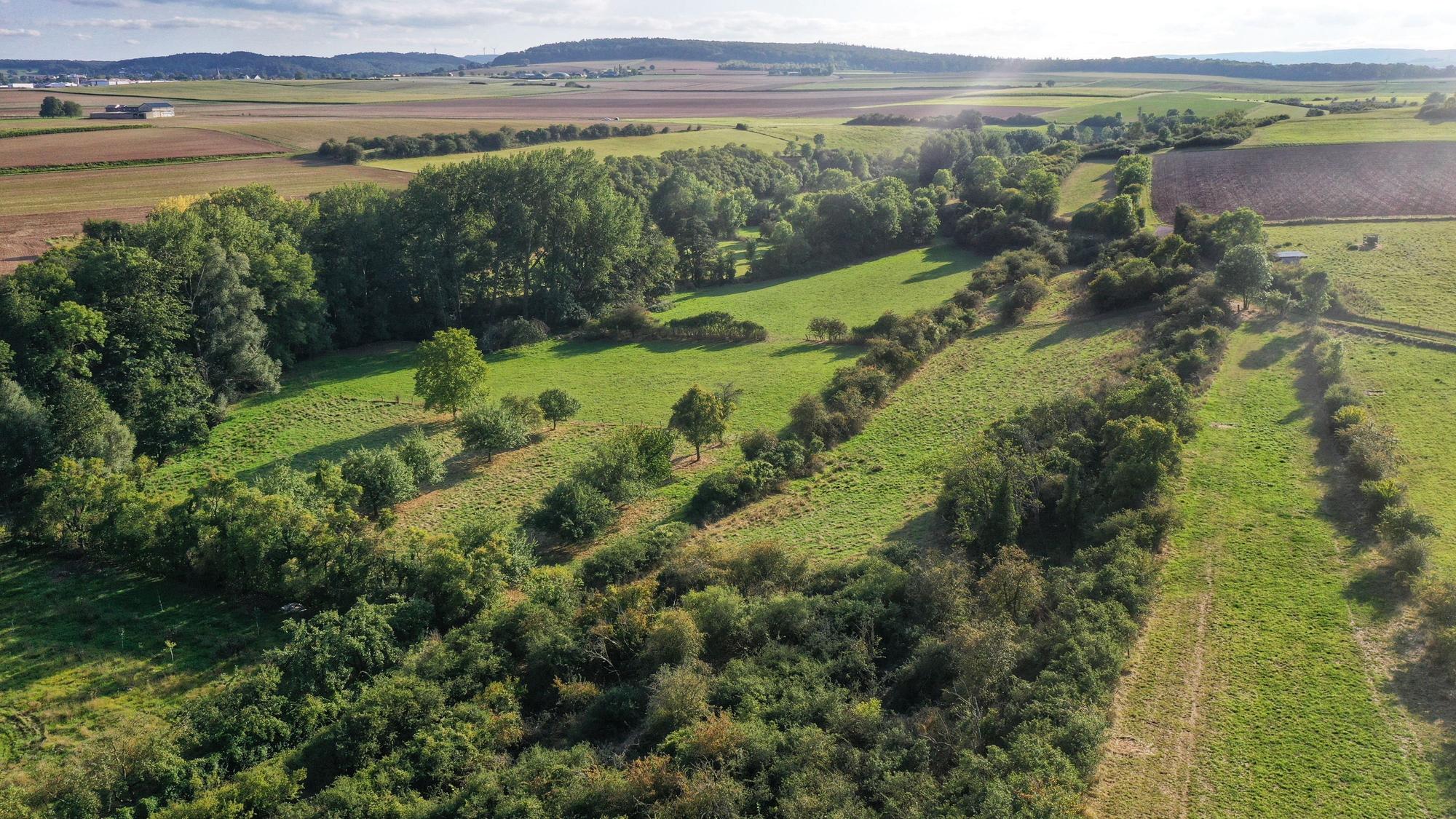 Eine Luftaufnahme zeigt das Rotbachtal, zu sehen sind Wiesen, Felder, Büsche und Bäume.