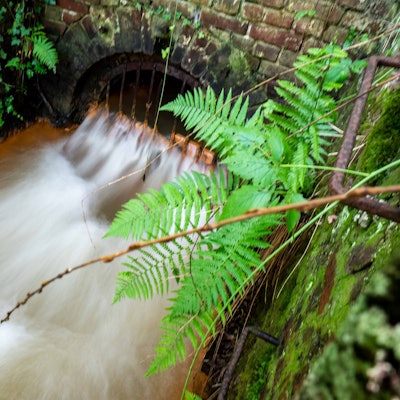 Das Bild zeigt den Burgfeyer Stollen, aus dem mit hoher Geschwindigkeit Wasser austritt.