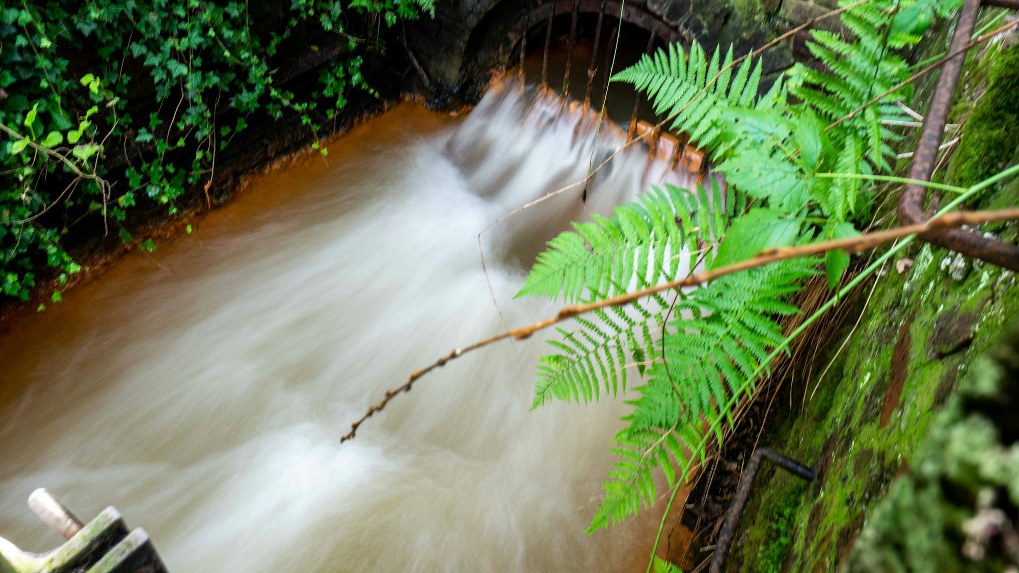 Das Bild zeigt den Burgfeyer Stollen, aus dem mit hoher Geschwindigkeit Wasser austritt.
