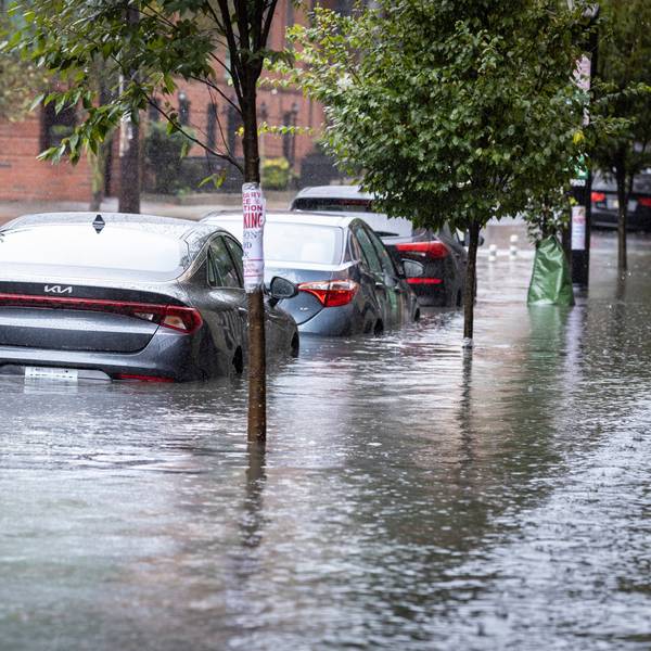 Tropensturm Ophelia zieht über die Ostküste der USA hinweg. New York wird besonders schwer getroffen, mehrere Stadtbezirke wurden überflutet. Der Wetterdienst NWS warnt vor einer Sturzflut.