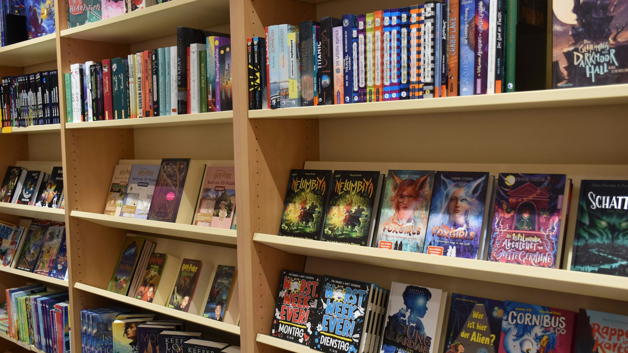 Bücher für Kinder und Jugendliche stehen in einem Regal einer Buchhandlung in Siegen.