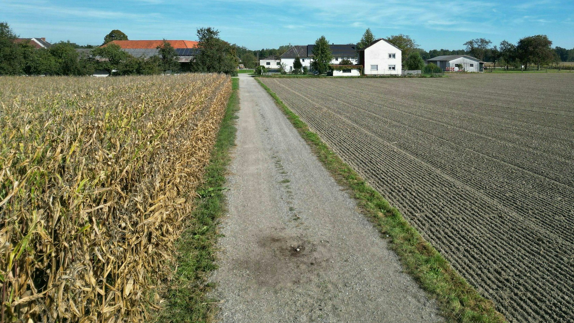 Ein Feldweg in Naarn