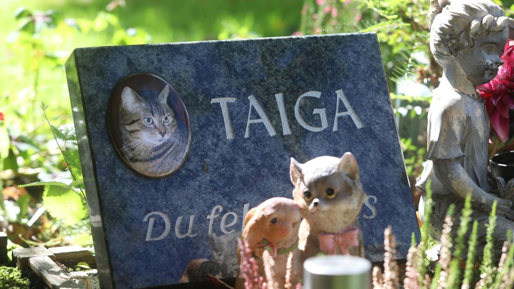 Tierfriedhof in Königswinter-Oberpleis