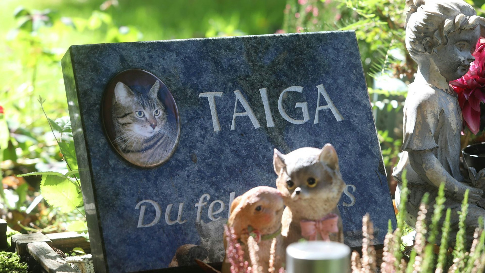 Tierfriedhof in Königswinter-Oberpleis