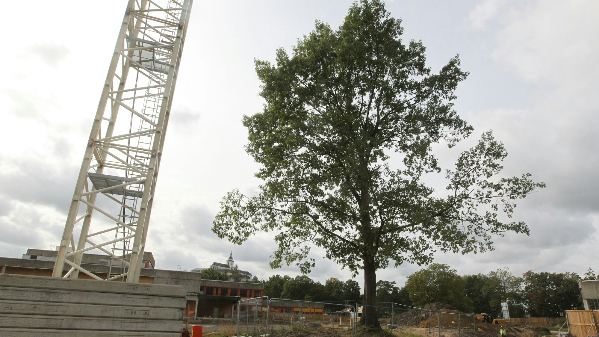 Die rund 50 Jahre alte Eiche bleibt bestehen, der neu aufgebaute Kran steht gleich daneben.