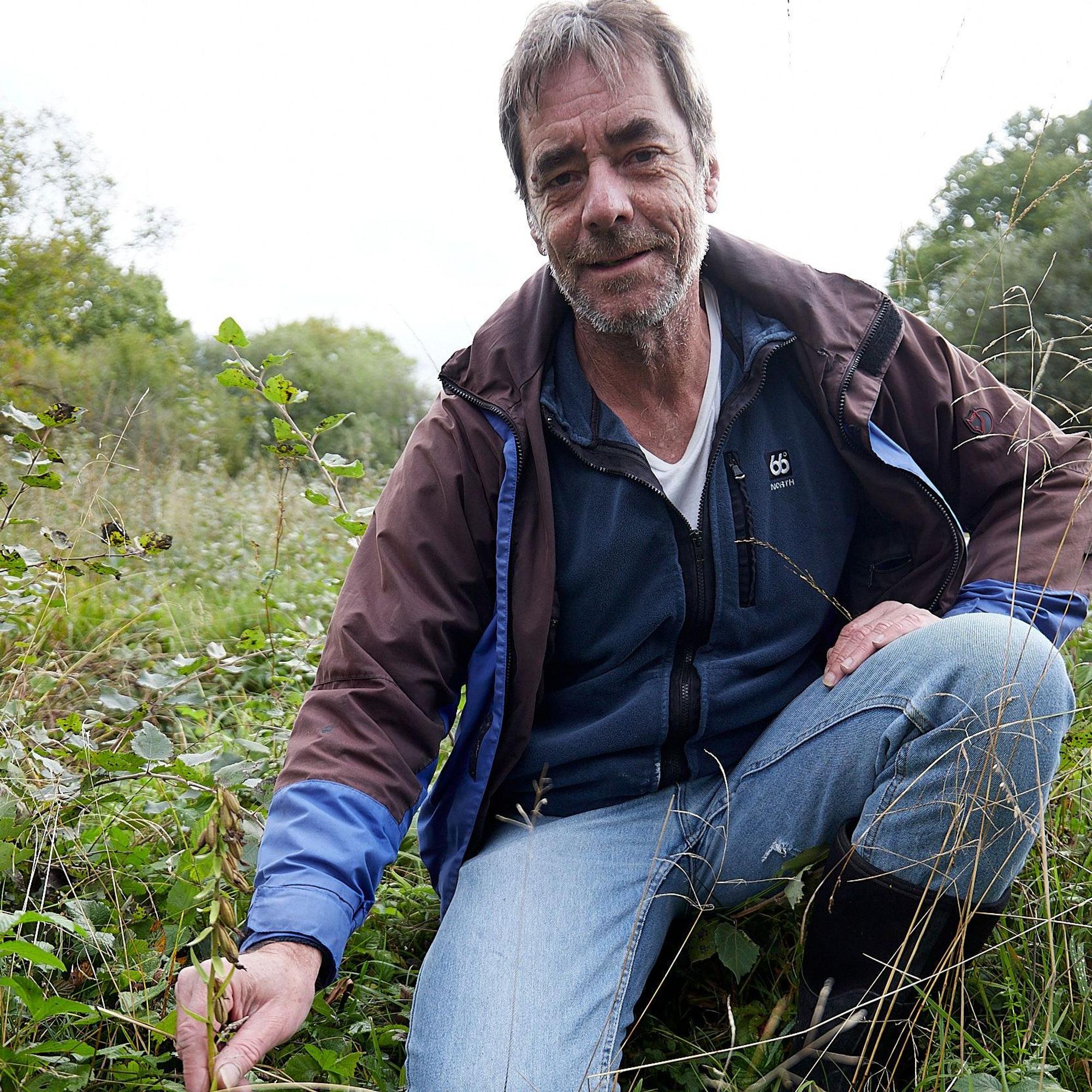 Orchideen-Experte Axel Förster kniet neben einem Exemplar der Sumpf-Stendelwurz.