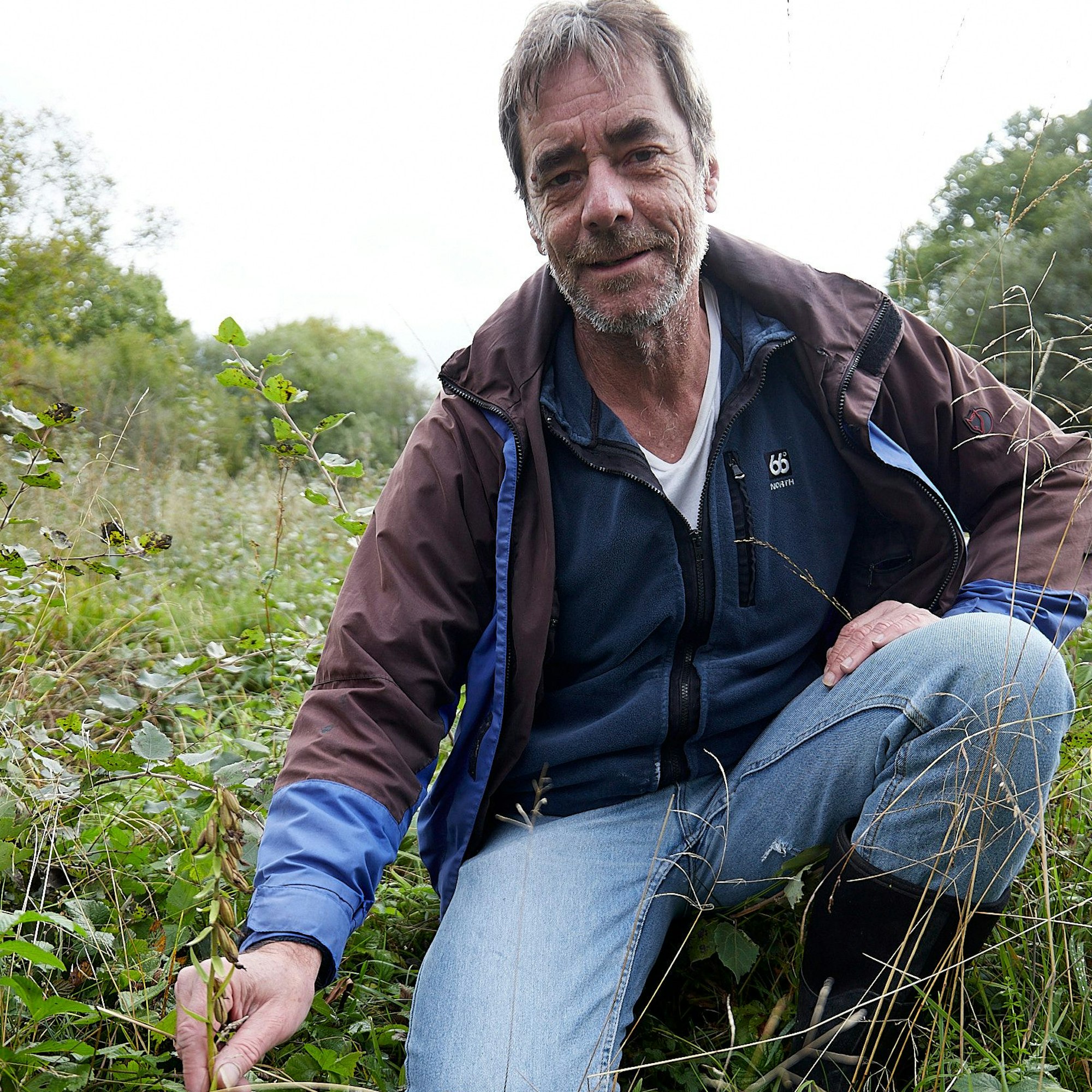 Orchideen-Experte Axel Förster kniet neben einem Exemplar der Sumpf-Stendelwurz.