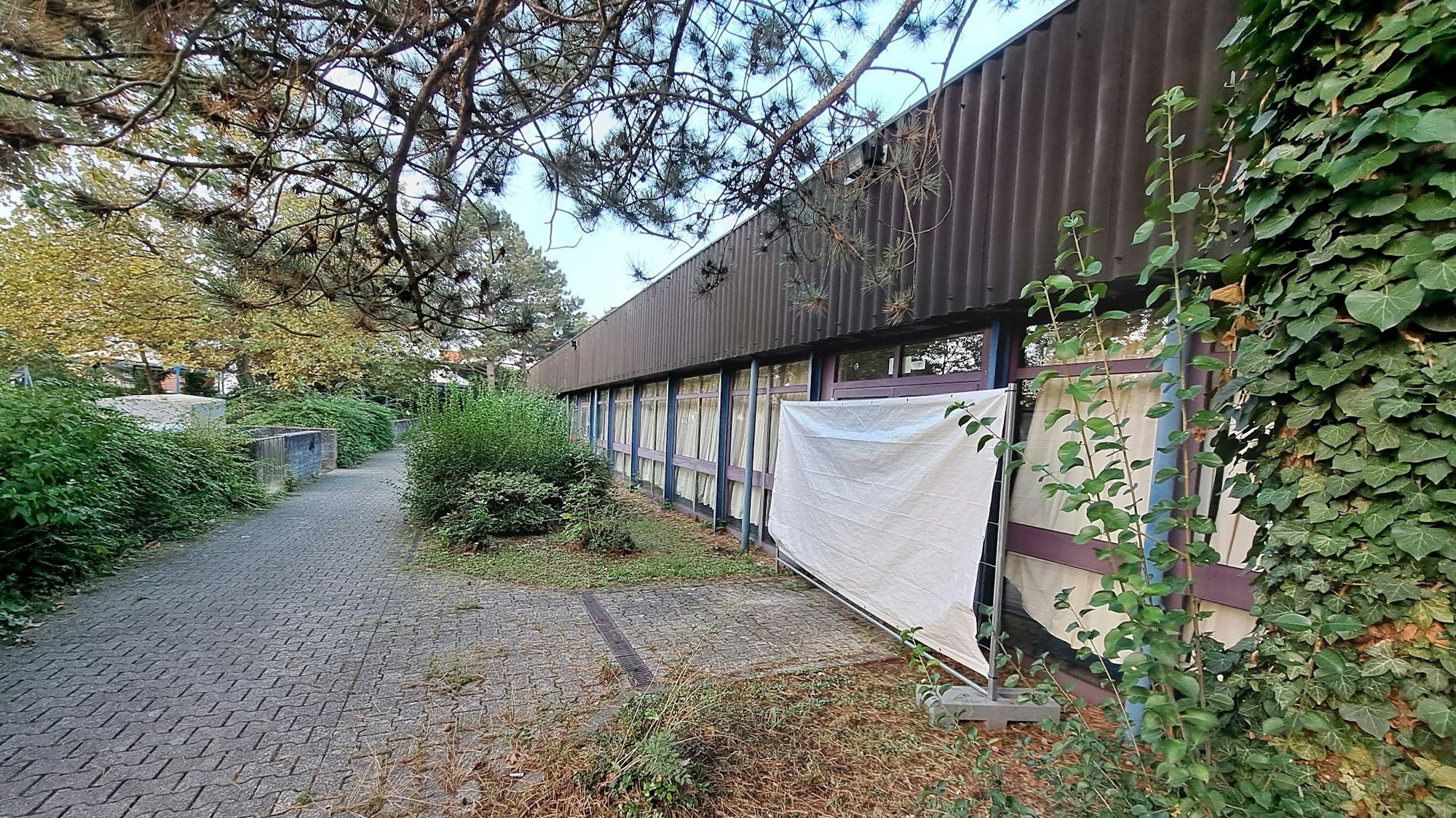 Weil dort Geflüchtete untergebracht sind, sind die Fenster der Dreifachsporthalle in Mondorf mit Vorhängen verhüllt. Die Stadt will die in die Jahre gekommene Halle energetisch sanieren.