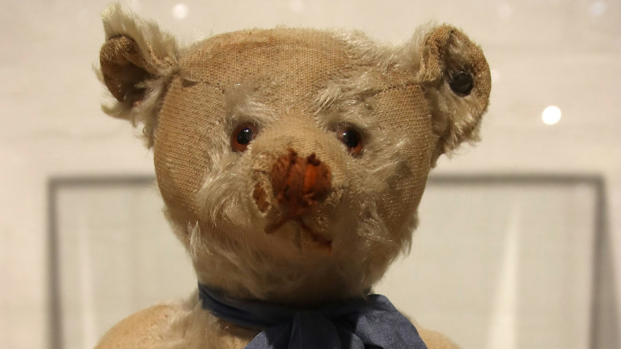 Ein Steiff Teddy von 1920 ist zu sehen. Der Bär wurde mehrfach repariert.