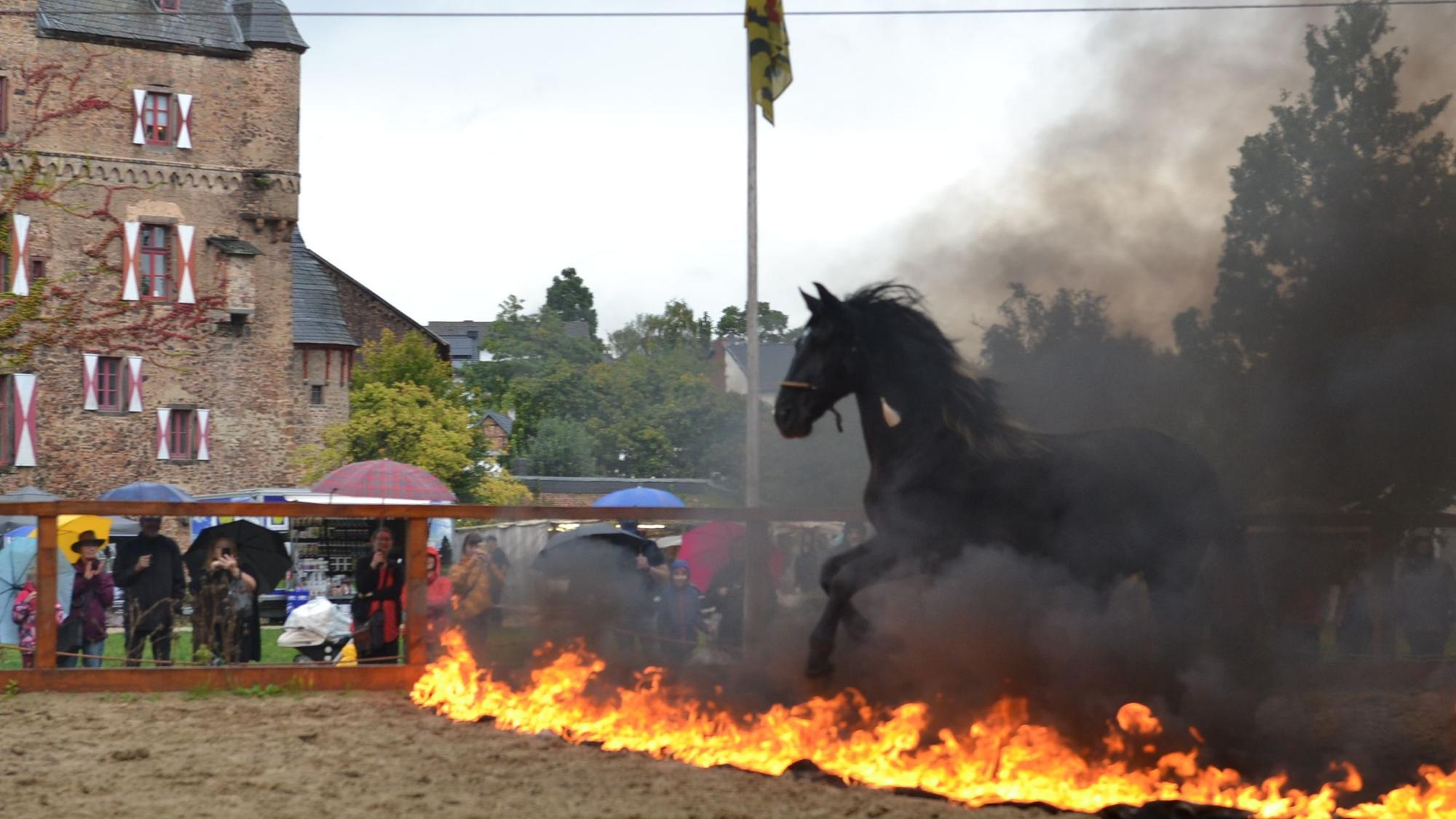 Bei der Show-Vorführung galoppieren Pferde auch durchs Feuer, wie hier bei der Vorführung im Jahr 2023.
