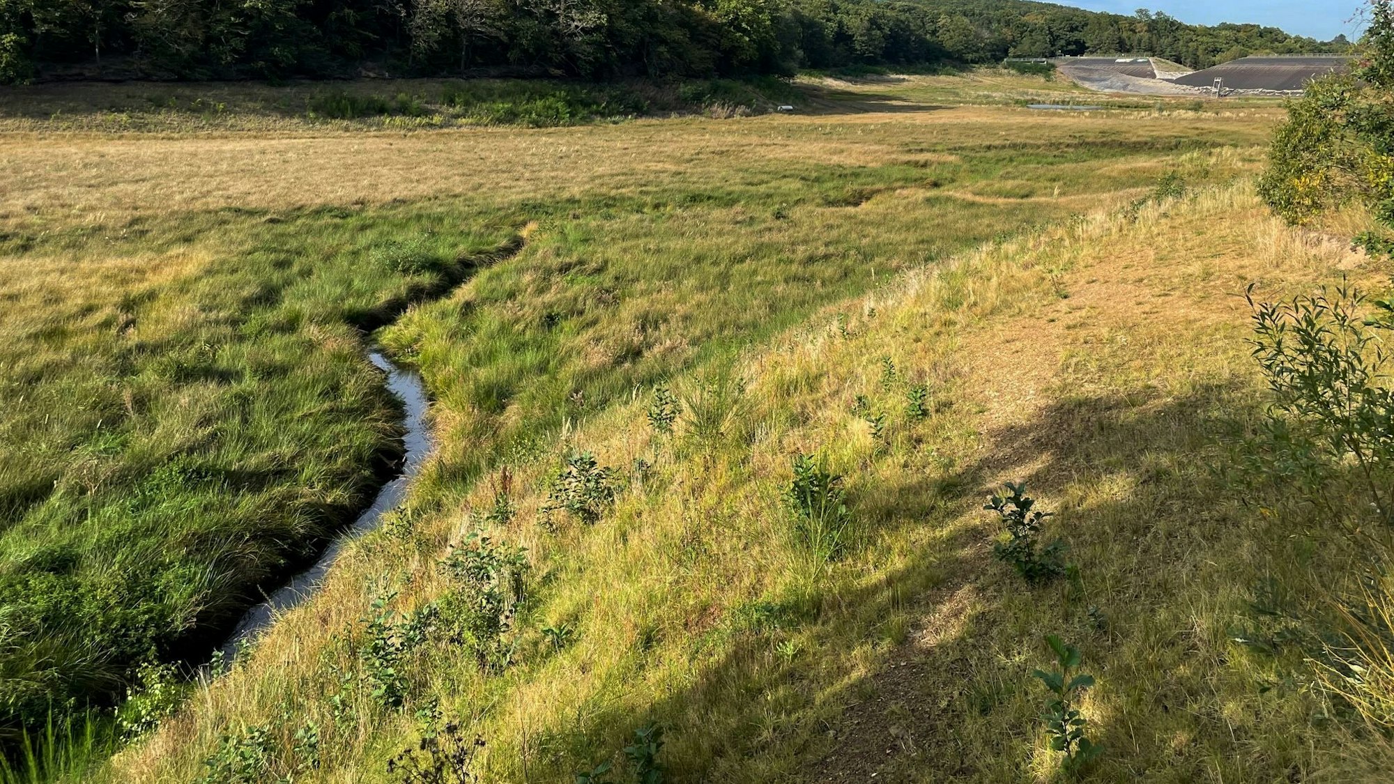 Das Bild zeigt den kleinen Steinbach, wie er sich durch das eigentliche Staubecken seine Bahn sucht.