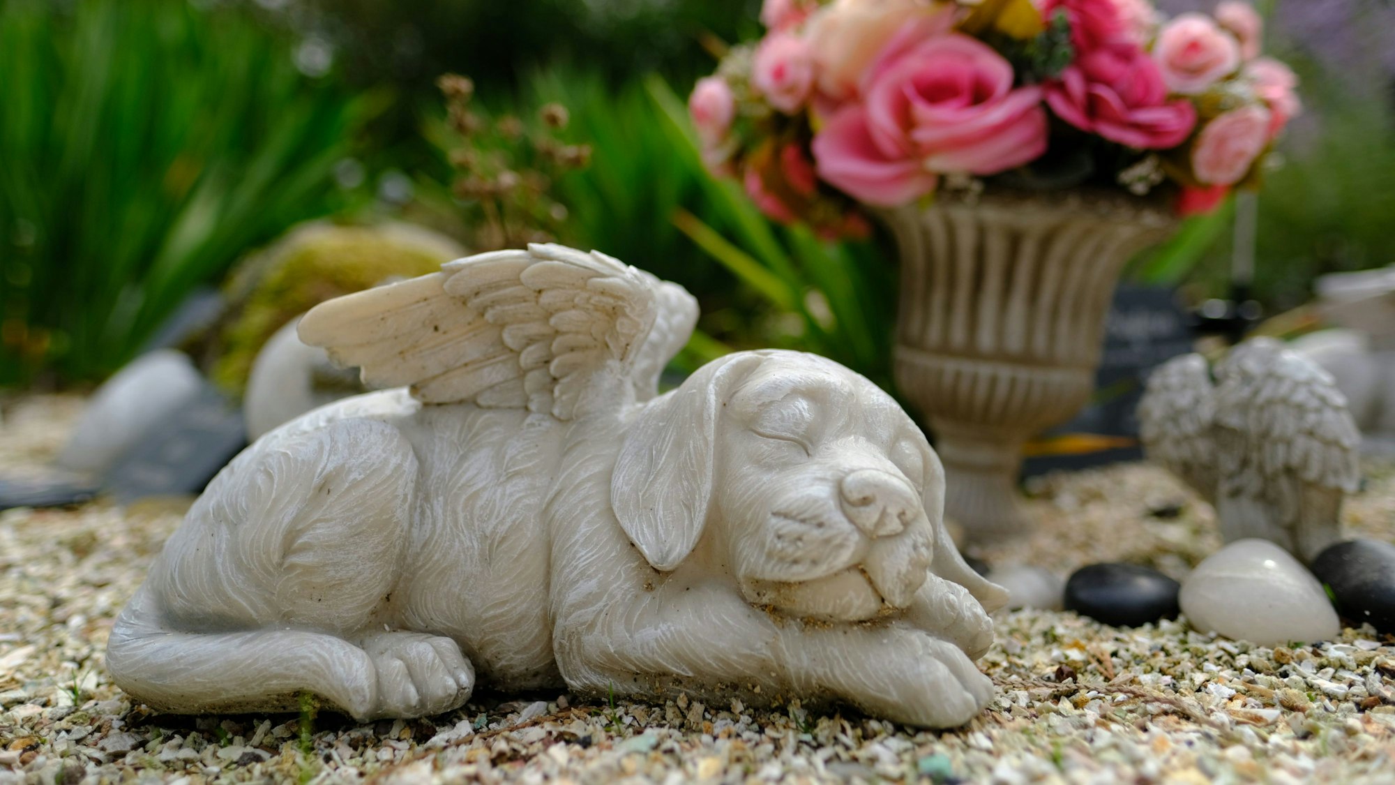 Ein Hund aus Stein mit Engelsflügeln.