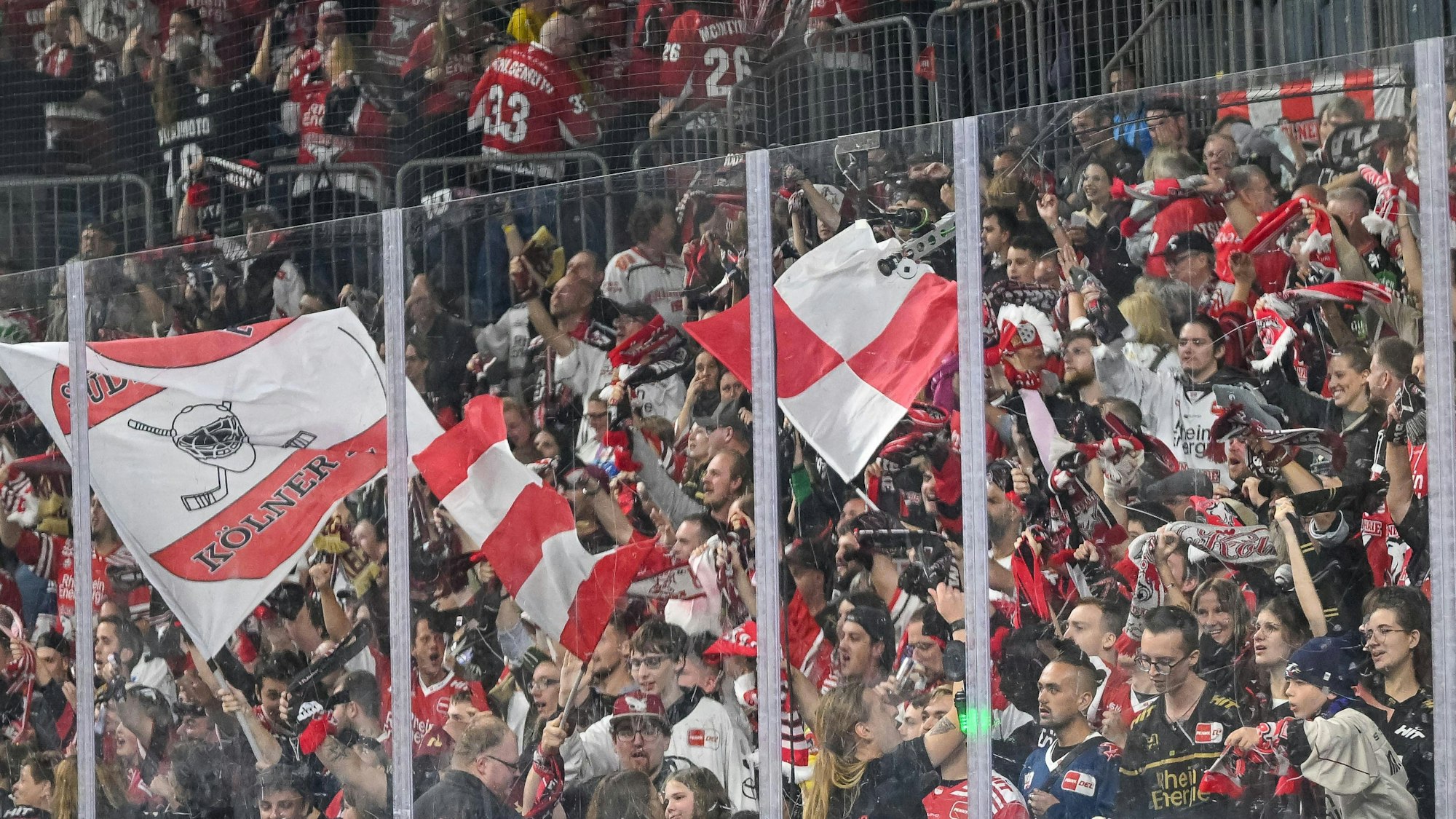 Jubel bei den Kölner Haie-Fans