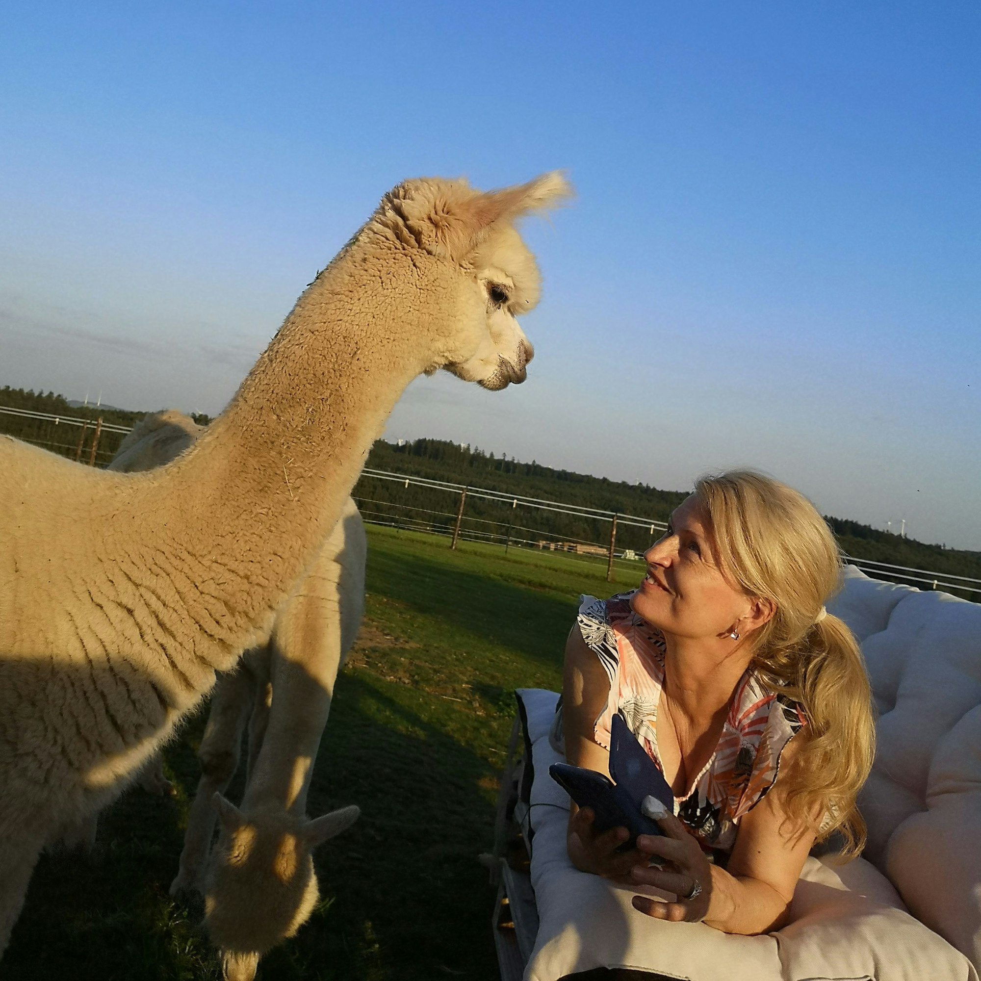 Irene Balter auf der Weide mit ihren Alpakas