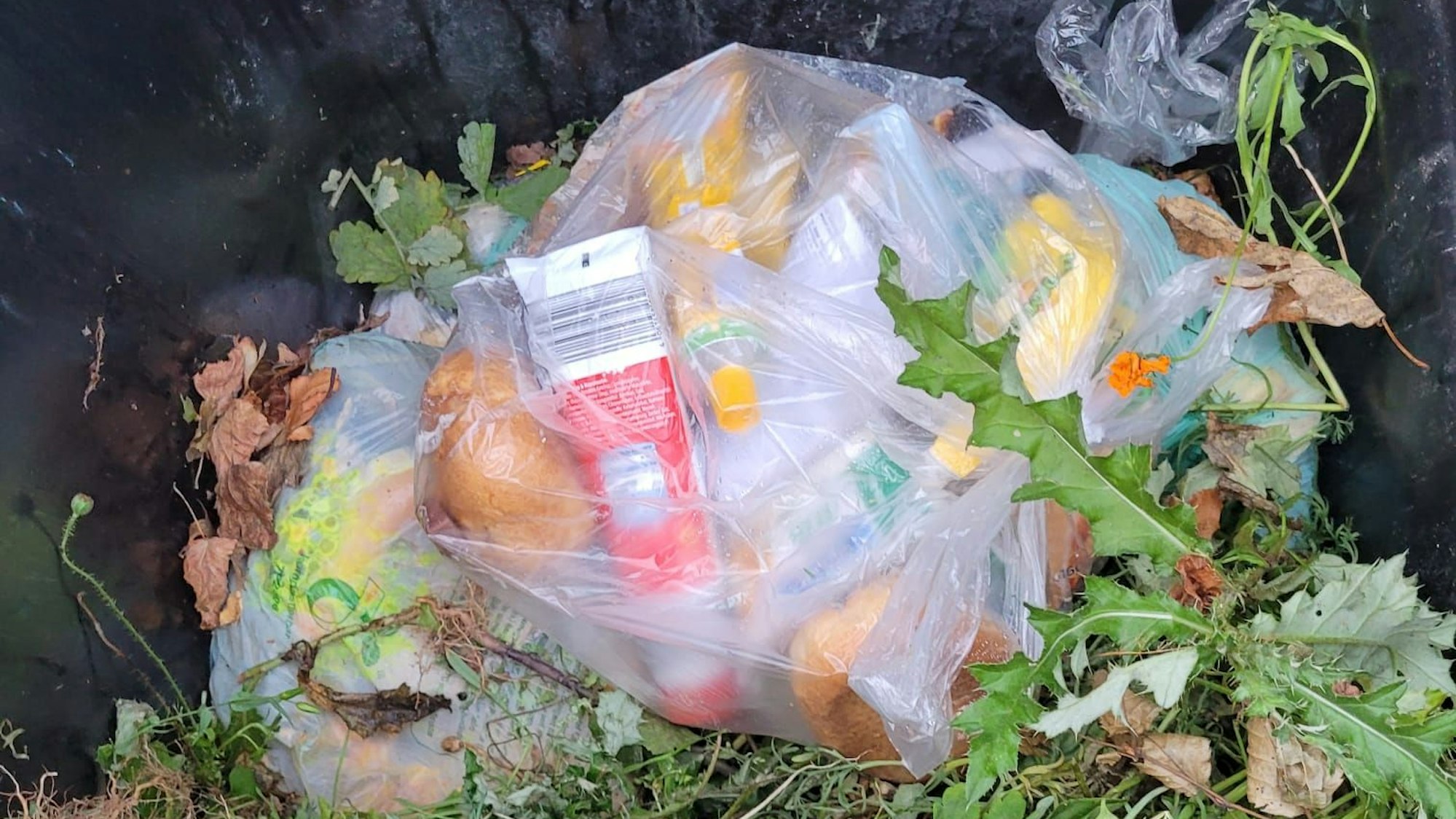 Eine Plastiktüte, in der eine Zahnpasta- und eine Mayonnaisetube zu sehen sind, liegt in einer Biotonne auf Blättern und Grünzeug.