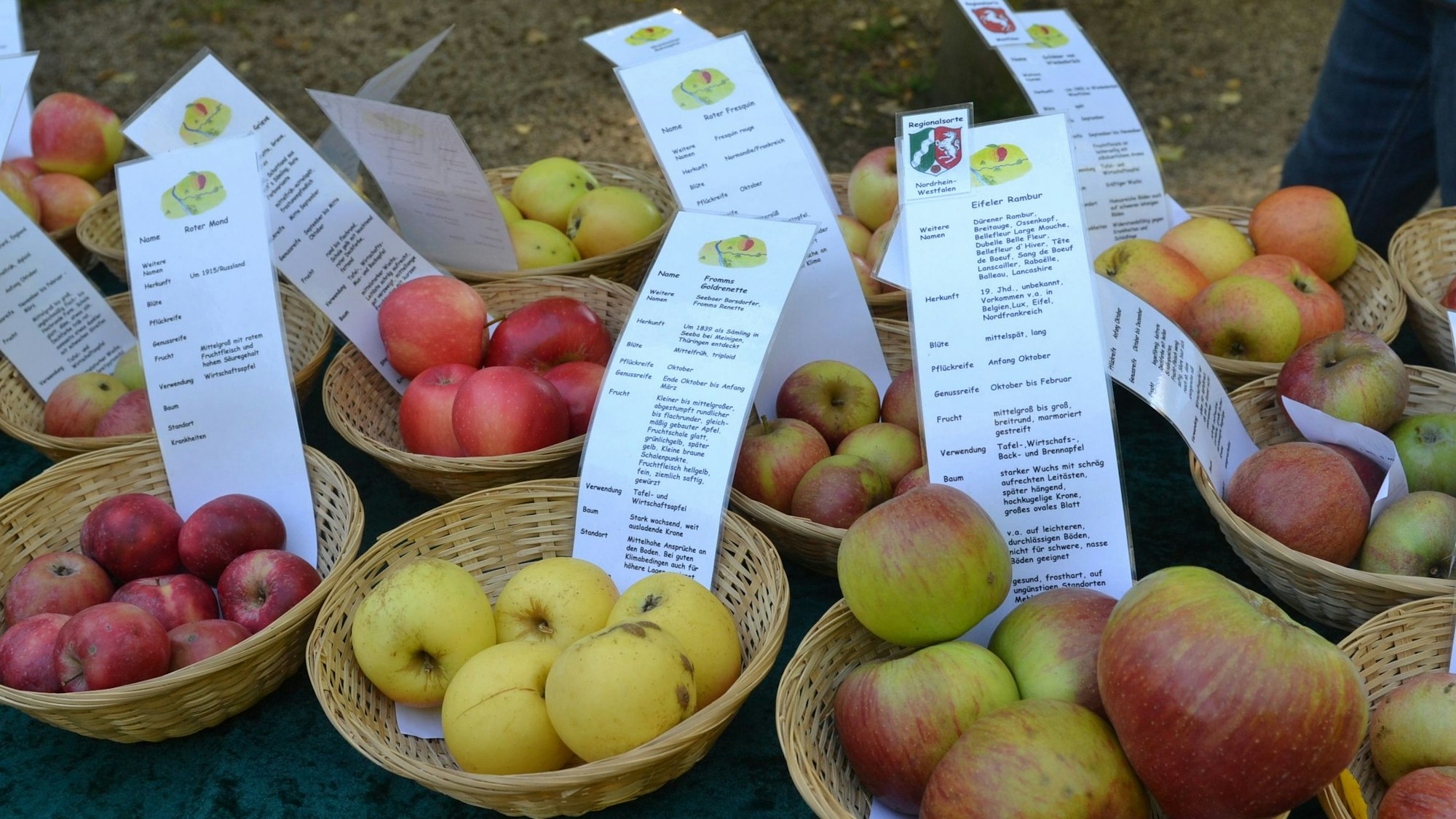 Äpfel vieler verschiedener Sorten liegen in Körbchen, zu jeder Sorte stehen Infos auf einem Zettel.