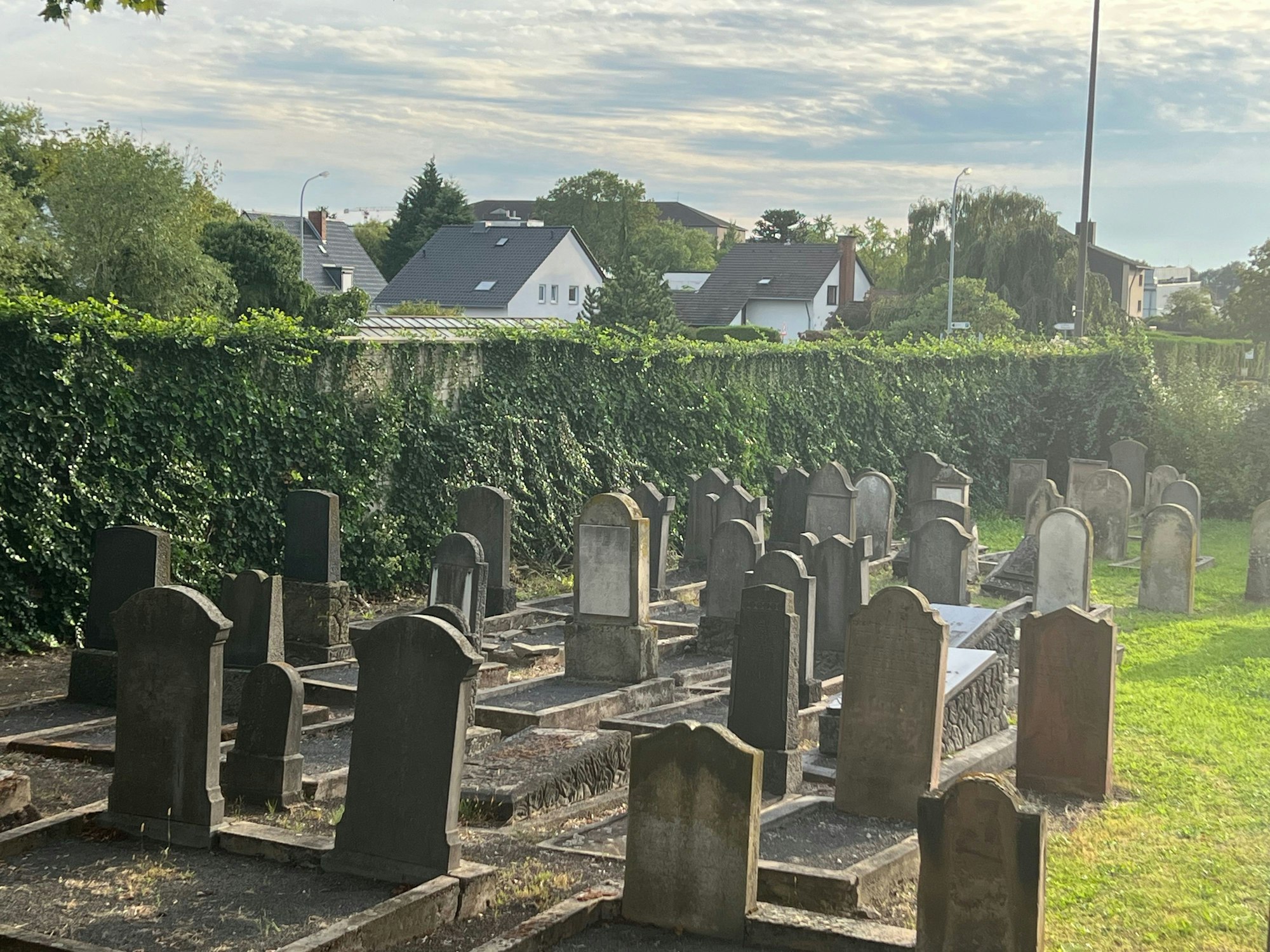 Das Bild zeigt mehrere Grabsteine.