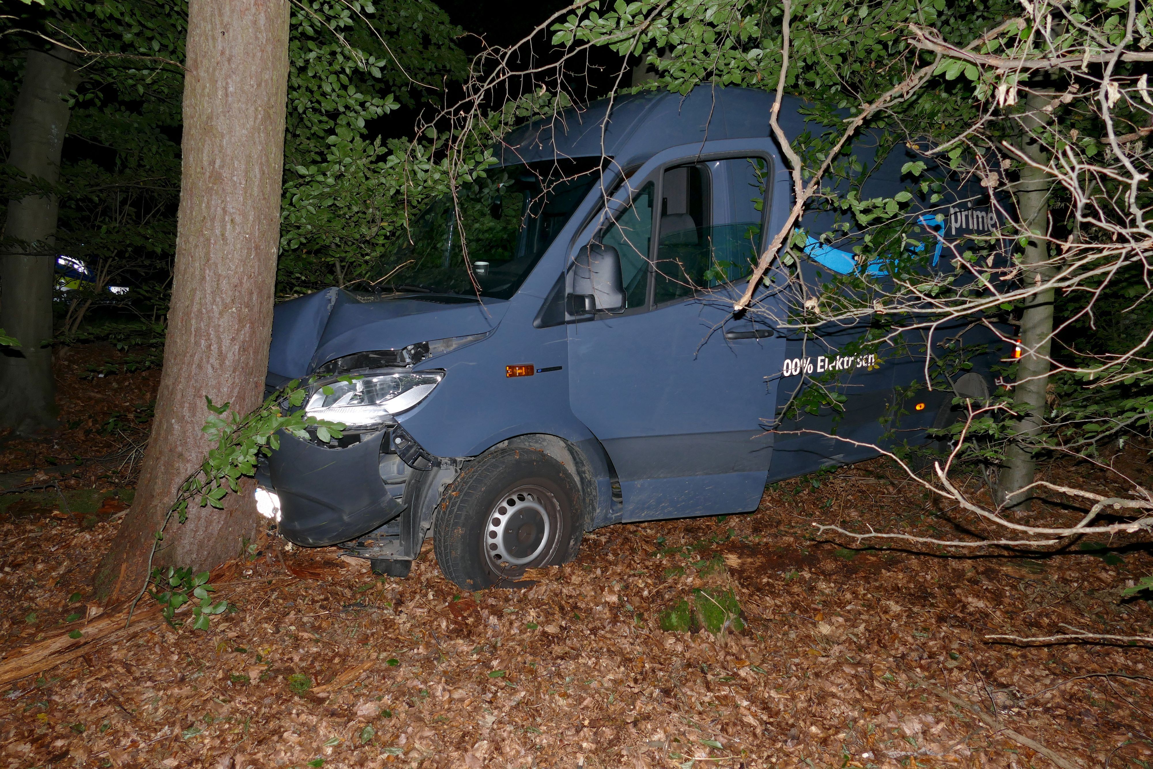 Ein dunkelblauer Transporter steht vor einem Baum.