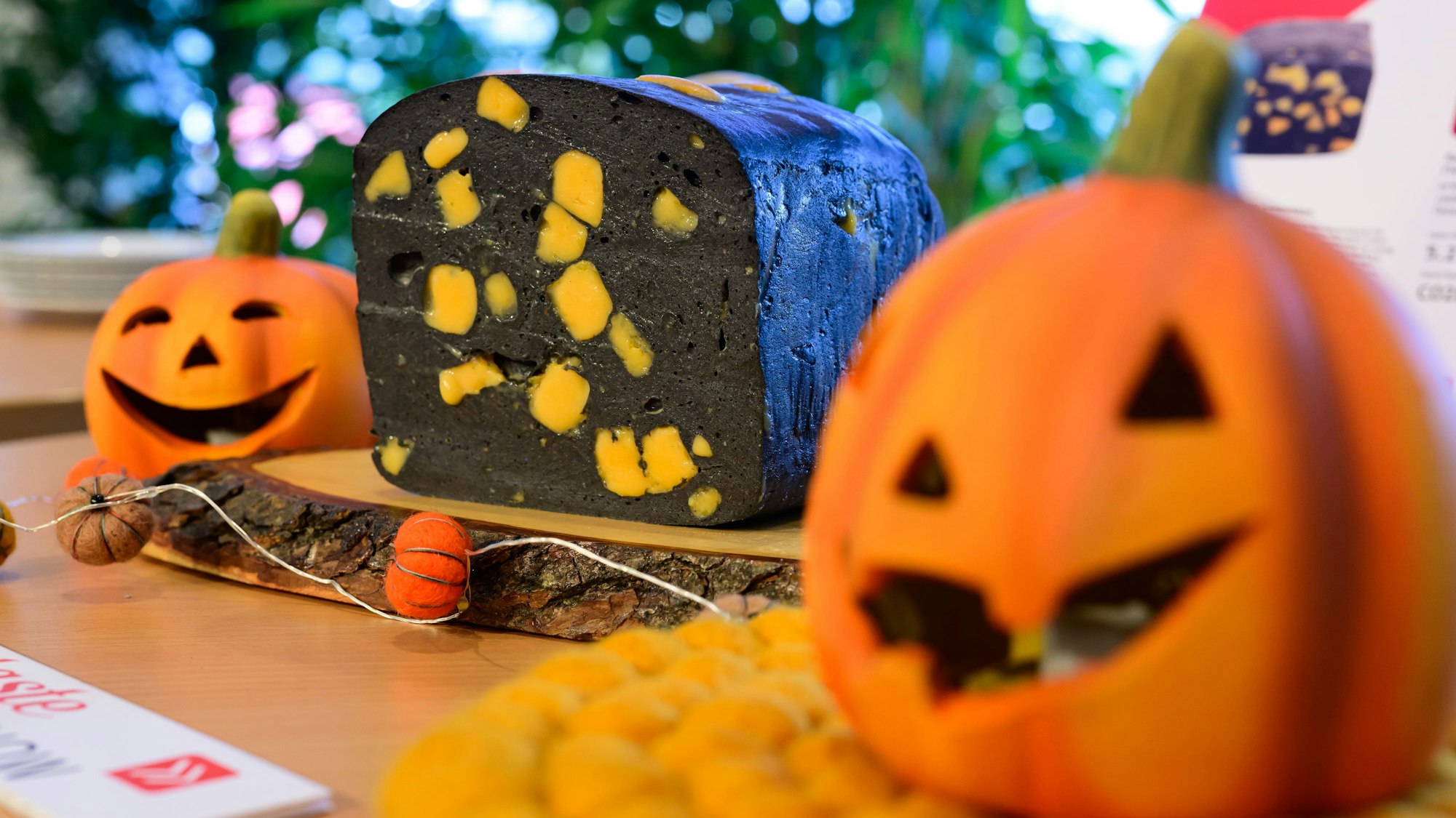 Anuga Highlights 2023