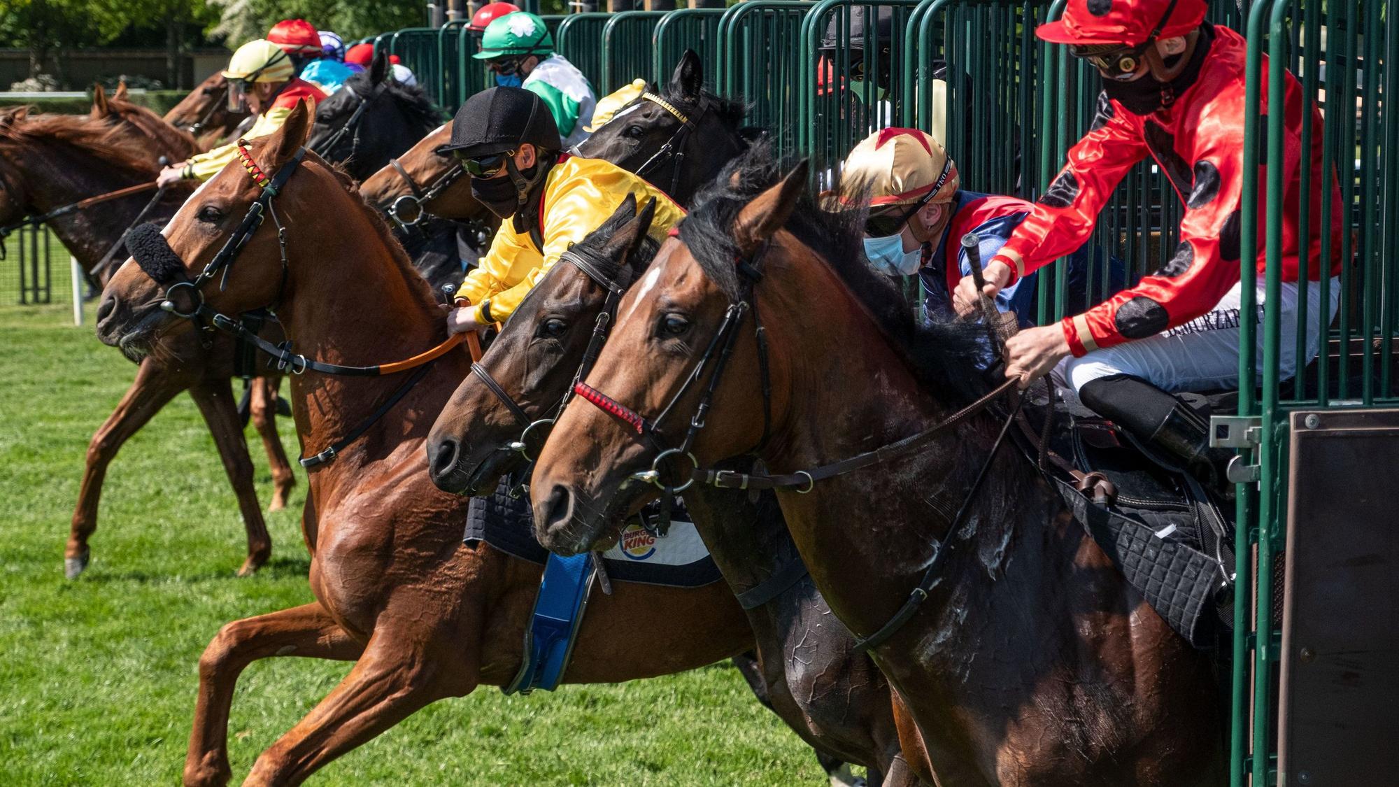 Die Jockeys starten mit ihren Pferden auf der Rennbahn