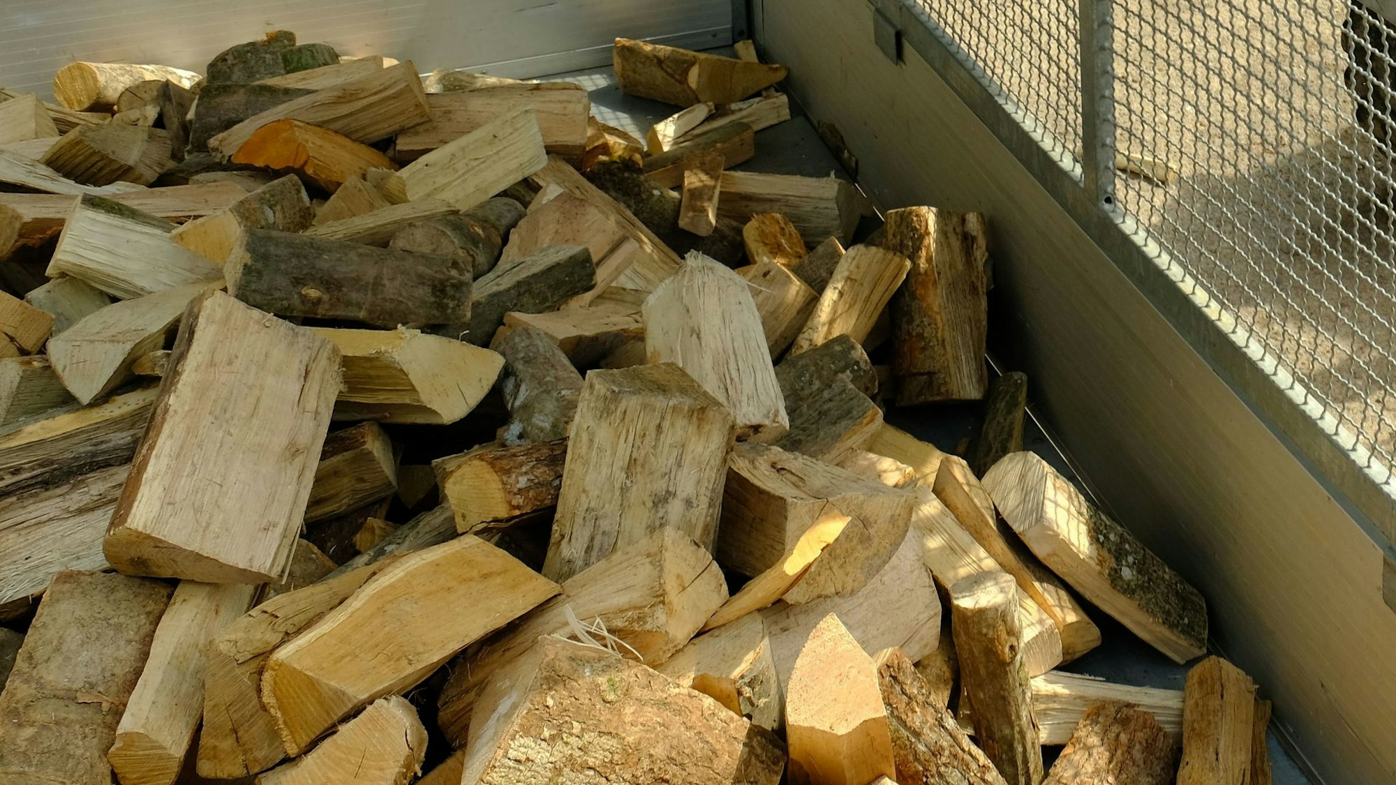 Das Symbolbild zeigt Brennholz in einem Behälter.