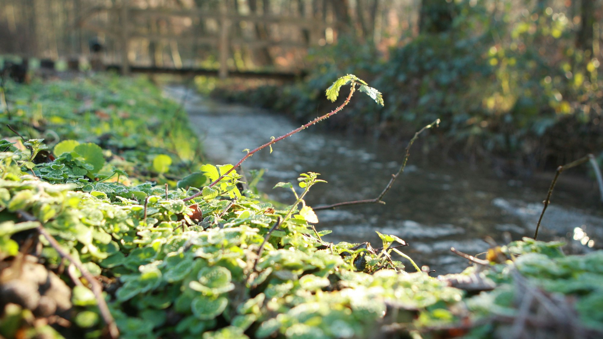 Ein Bach auf der Wanderroute