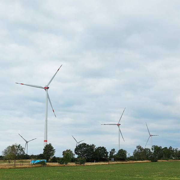 Das Foto zeigt sechs Windräder im Windpark Rohr-Reetz.