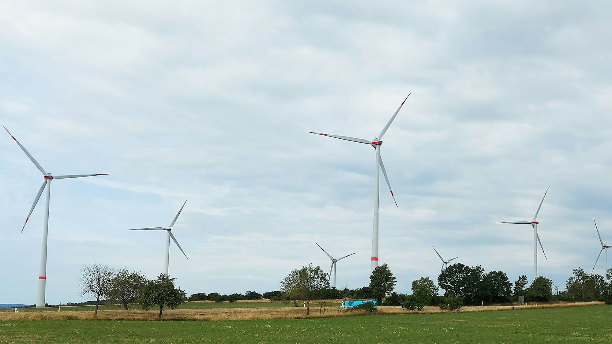 Das Foto zeigt sechs Windräder im Windpark Rohr-Reetz.
