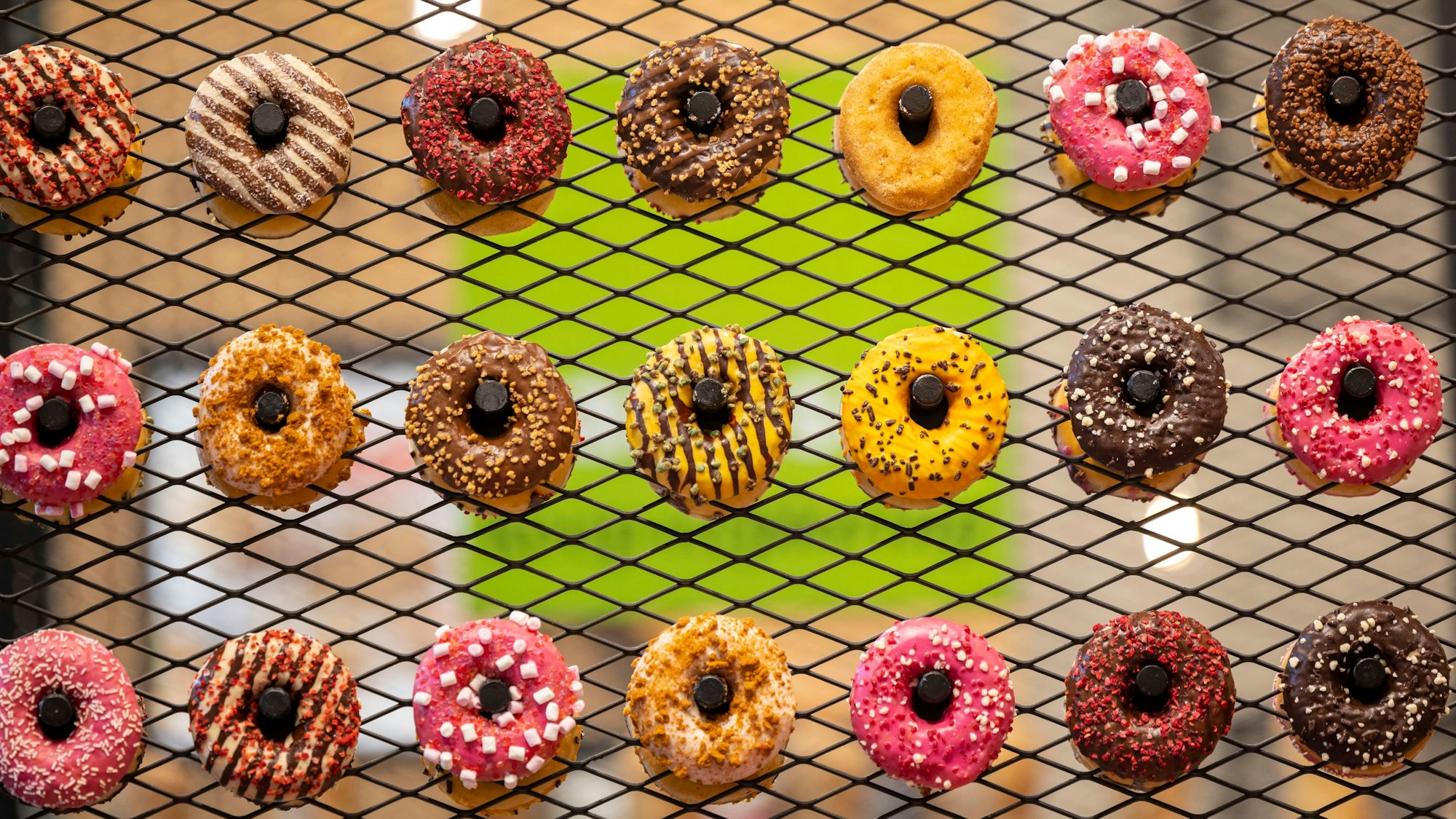 Bunte Donuts sind auf einem Rost ausgestellt